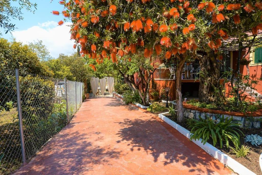 The Red House In Dassia Bagian luar foto